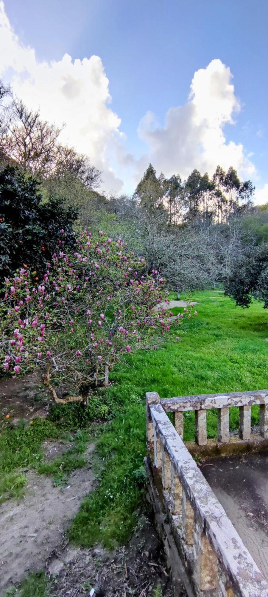 Muinos Do Bravo Apartment Gondomar Bagian luar foto